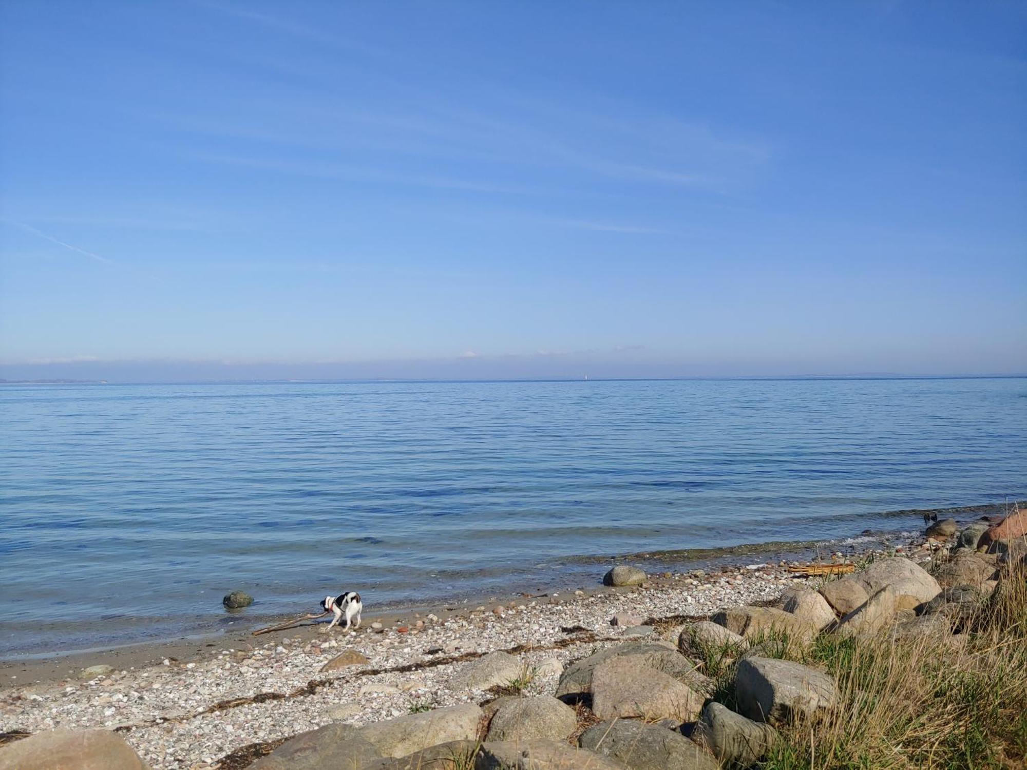 Lungomare Oro, Penthouse Am Yachthafen, Traum Meerblick, Hunde Erwuenscht Kappeln Eksteriør billede